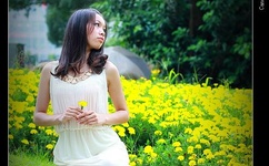 大尺寸的小黄说字多肉小学